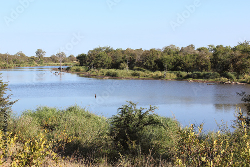 Afrikanischer Busch - Krügerpark - Gudzani River / African Bush - Kruger Park - Gudzani River / photo