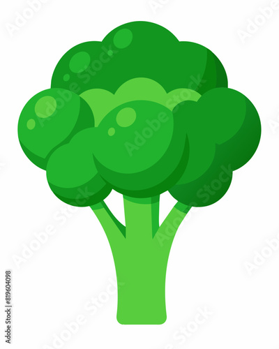 Fresh green broccoli vector illustration 
