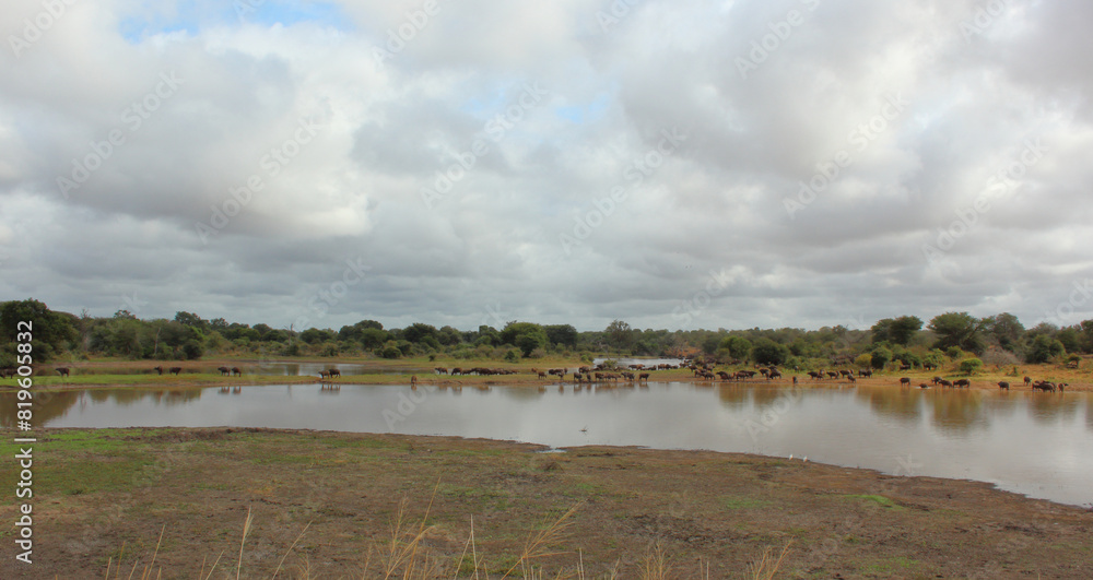 Afrikanischer Busch - Krügerpark - Nsemani Dam / African Bush - Kruger Park - Nsemani Dam /