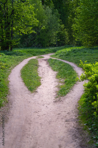 Fotografie Forest path forks into three trails then reconverges into one