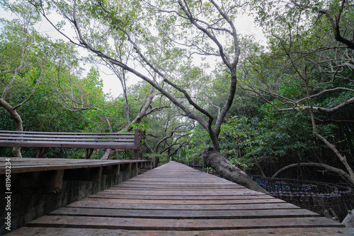 Wooden bridge and resting area in the wetland