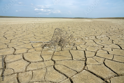 Image of heat and drought. Global warminga (man-made climate change, ecological turnover). Endless dried-up plain with chapped ground and dead dried plants. Desertification and soil degradation