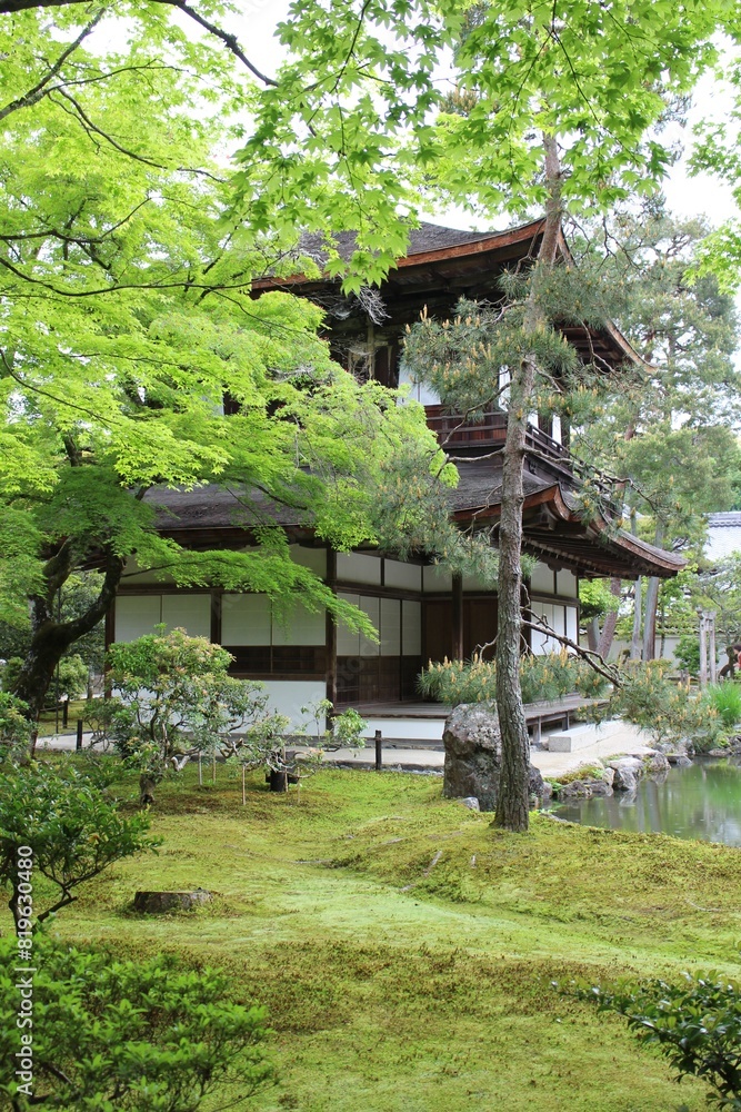 Moss garden in Ginkakuji Temple in Kyoto, Japan Moss garden in Ginkakuji Temple in Kyoto, Japan