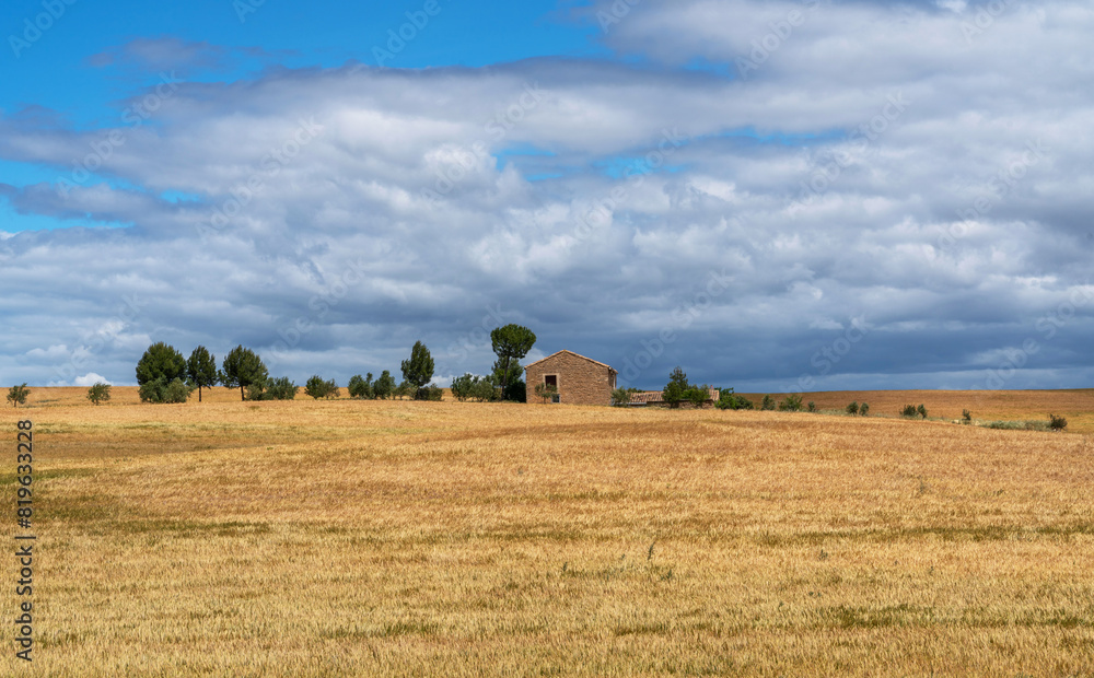 Beautiful view of gold wheat crop flied landscape, rural countryside at Spain. View of a typical rural house surrounded by a wheat field. Beautiful view of gold wheat crop flied landscape, rural countryside at Spain. View of a typical rural house surrounded by a wheat field.