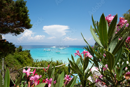 Rocky beach scene with turquoise waters of the Mediterranean Sea, boats anchored in the bay and pink flowers in the foreground, on the island of Antipaxos in Greece. Selective focus
