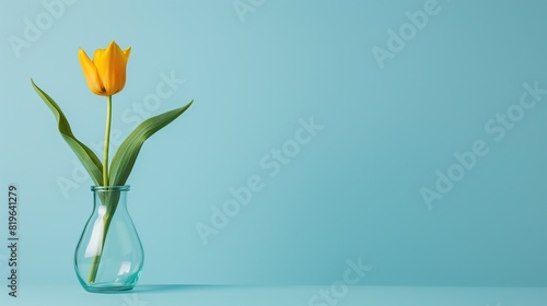 A single yellow tulip in a clear vase against a light blue backdrop