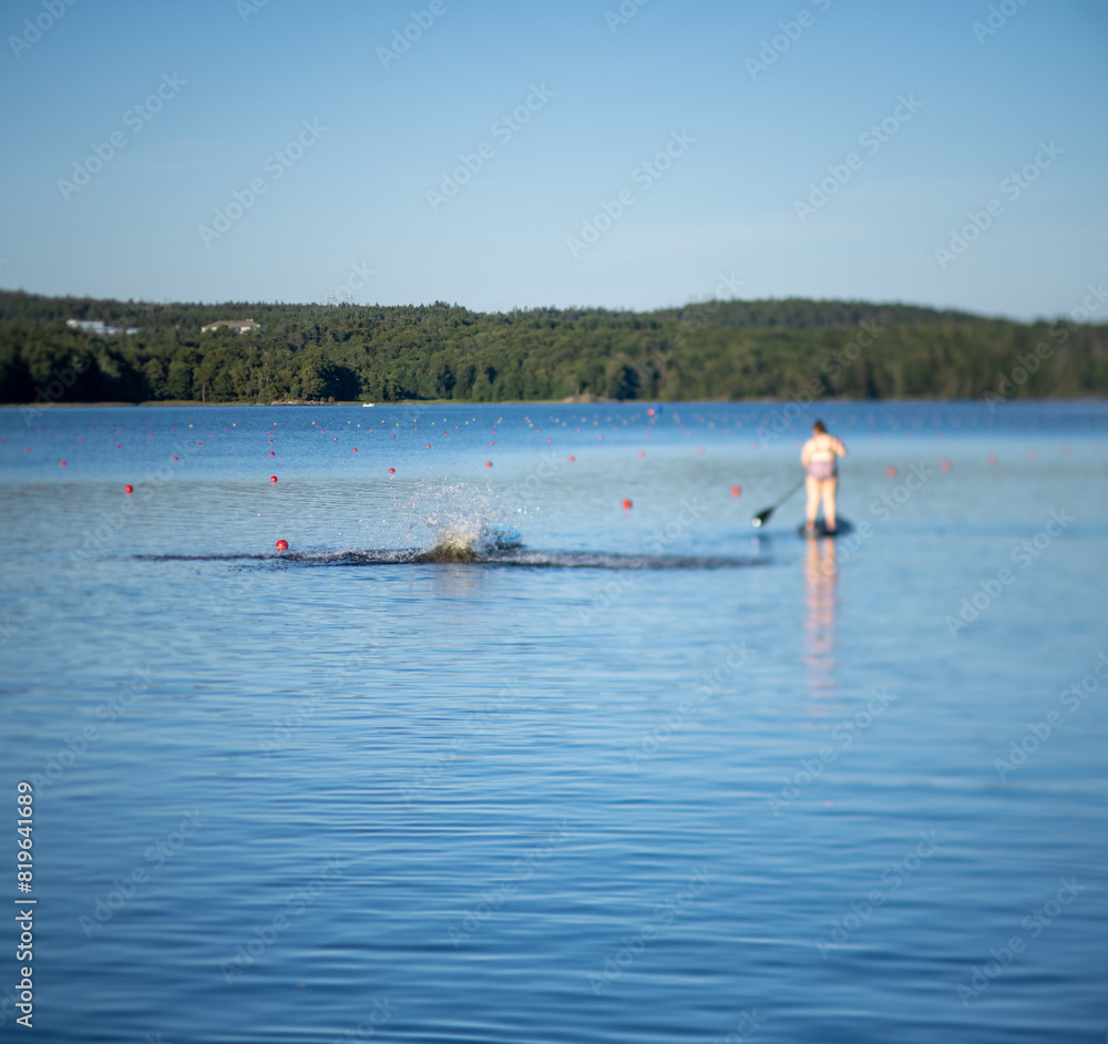 Naklejka premium Person falling into a lake in early evening.