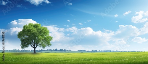A summer scene with a bright sunny sky showcasing lush green grass and trees adding color contrast against the blue sky s backdrop ideal as a copy space image © Ilgun