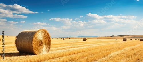 Hay bail harvesting in golden field landscape. Copy space image. Place for adding text and design photo