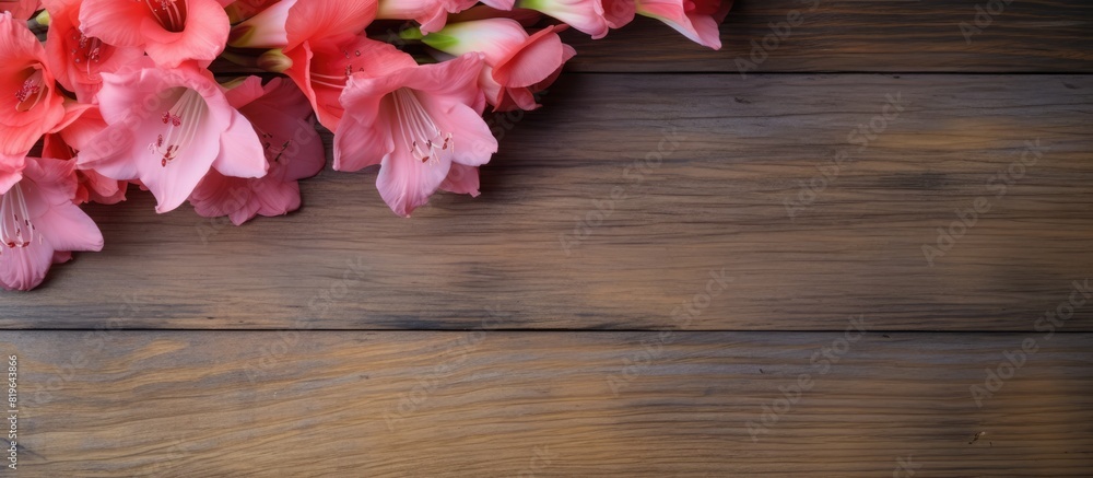 Gladiolus displayed on a rustic wooden surface with copy space image