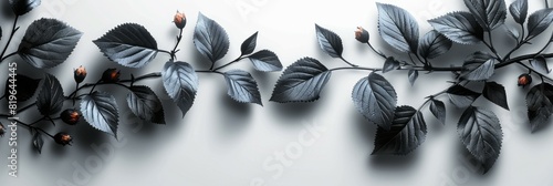 Cluster of leaves clinging to a wall surface photo