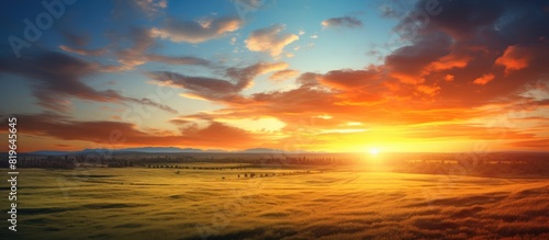 A scenic view of a vibrant sunset over a summer field with abundant copy space for including images