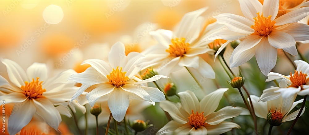 Obraz premium Stunning macro scene of flowers with a close up view perfect for a copy space image