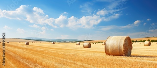 Rural landscape in summer showcasing the harvesting of straw and hay on an agricultural field with a backdrop of hay and straw stacks Includes copy space image