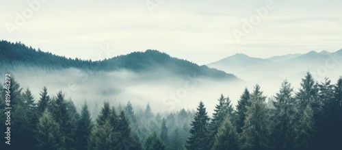 Vintage toned summer mountain landscape on a foggy morning creates an amazing hipster background with a frame of trees ideal for a copy space image