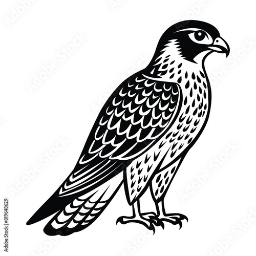 silhouette of a falcon illustration 