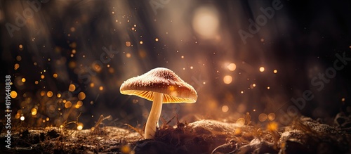 A solitary brown mushroom in a magical forest with a whimsical ambiance enhanced by floating dust and particles creating a mystical scene with copy space image