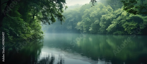 Tranquil lake in a peaceful forest setting with copy space image