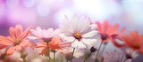 Soft focus effect applied to flowers creating a shallow depth of field with blurred background suitable for a copy space image