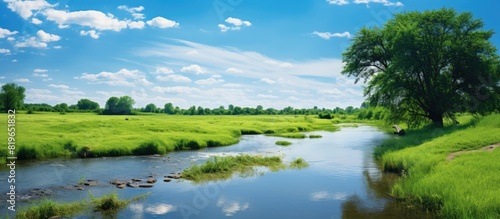 In summer a stream flows through verdant trees and grass under a blue sky with fluffy white clouds casting reflections in the water creating a serene ambiance perfect for a copy space image