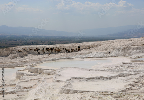 Natural thermal pools surrounded by white limestone in Pamukkale, Denizli, Turkey
