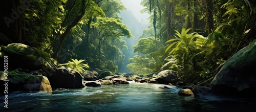 Tropical jungle setting with a streaming river providing a serene ambiance in the backdrop for the ideal copy space image