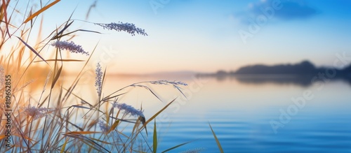 Copy space image of reed leaves lining the blue Monovgat river at sunset evoking the themes of fishing and tourism