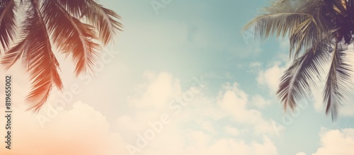 Vintage background with a retro toned poster featuring coconut palm tree foliage against a sky backdrop providing a serene copy space image photo