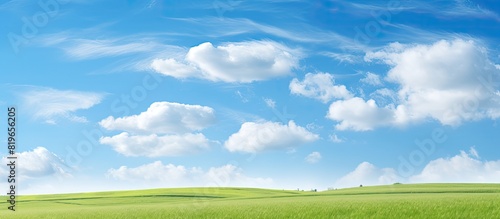 Nature landscape under a vast blue sky featuring a serene copy space image