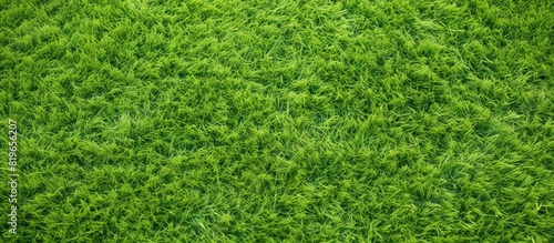 Artificial green grass background perfect for design concepts related to golf courses soccer fields and sports with copy space image