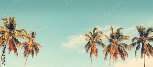 Vintage styled palm trees against a blue sky at a tropical coast create a retro summer vibe in this image with copy space