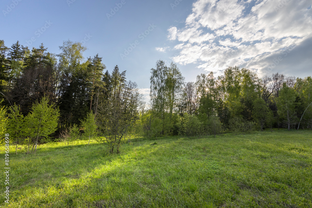 Spring evening landscape, Peace of nature, calm soft sunlight on young green grass Spring evening landscape, Peace of nature, calm soft sunlight on young green grass
