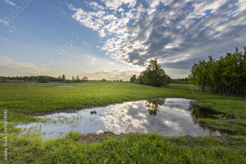 A large puddle in the middle of a field. Sunset sky  spring evening landscape  soft sunlight on the grass.