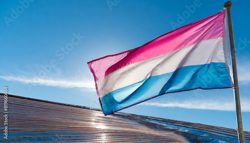 trans flag fluttering against blue sky  lgbt  pride month
