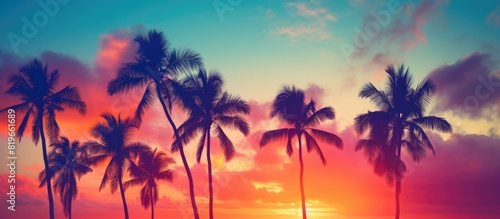 Palm trees silhouette against a sunset sky with a colorful background perfect for a copy space image