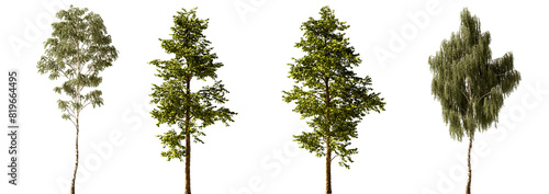 Transparent Highly Detailed Daylight Summer Autumn Trees Assets Collection Group of Trees Realistic Cutout Set On Empty Background 3D Rendering