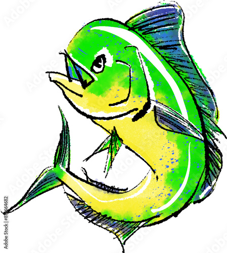 「シイラ・Dolphinfish」の手書きイラスト（筆書き墨絵風）