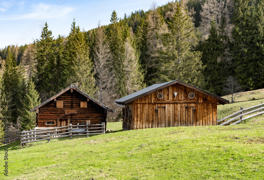 Two wooden huts with grassland in front and trees in background in the mountain alps Two wooden huts with grassland in front and trees in background in the mountain alps
