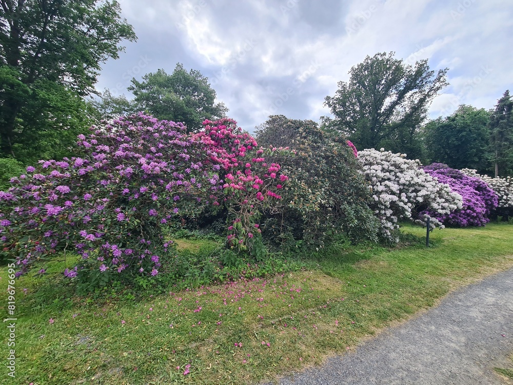 Obraz premium blooming season at the dresden palace garden