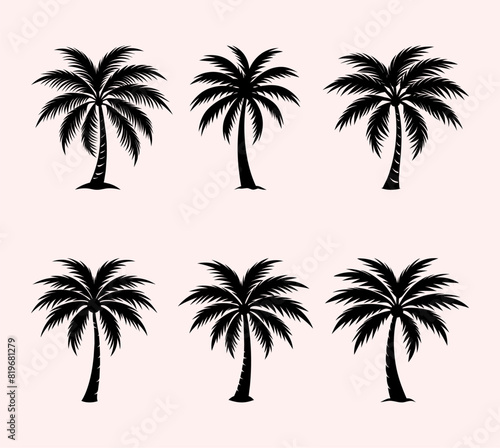 A Set of Palm Tree Silhouettes © ahmta