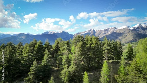 Flight over trees in the mountains, snowy mountains in the background, tourist place in ski resort in the south of France, valberg, Nice France