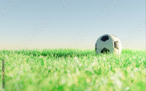 Soccer ball on grass 6