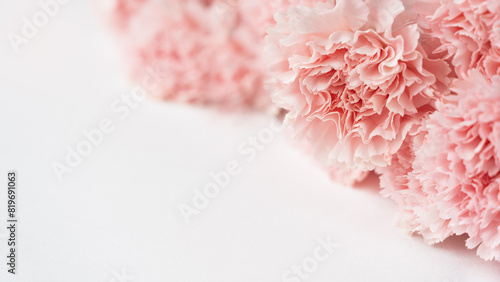 Pink carnations on white background. Greeting card. Copy space. Birthday, Wedding, Mothers Day, Valentines day, Womens Day.