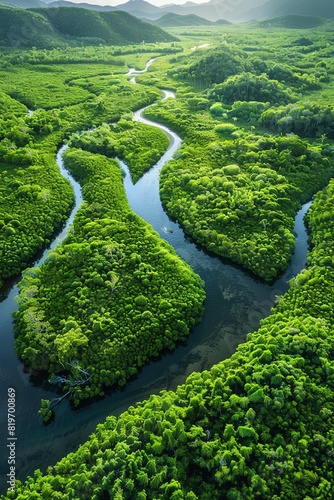 The lush green canopy of the Amazon rainforest is broken up by the winding curves of a river