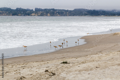 a foggy morning at Stinson beach in Marin County, california photo