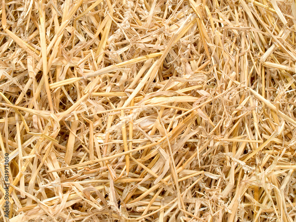 Closeup of yellow gold straws Closeup of yellow gold straws