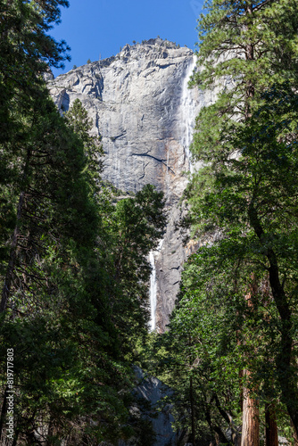 view through the trees to the famous lower Yosemite fall from below at the Yosemite national park