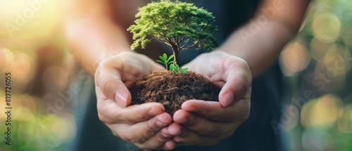 Focused view of hands cradling a small tree with soil, symbolizing new beginnings and nature care