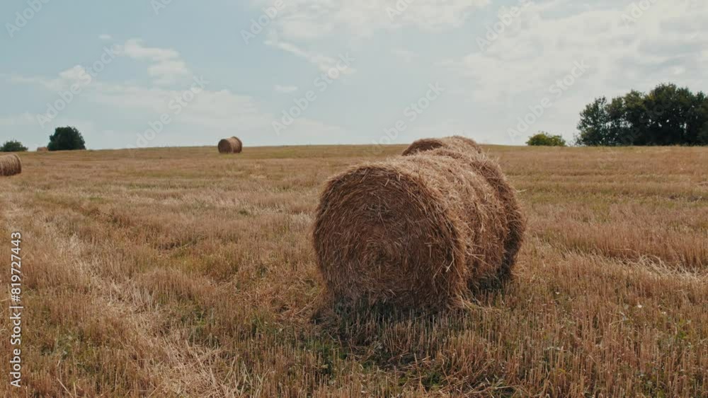 Agricultural land with hay bales and trees in the background under bright blue sky with clouds Agricultural land with hay bales and trees in the background under bright blue sky with clouds