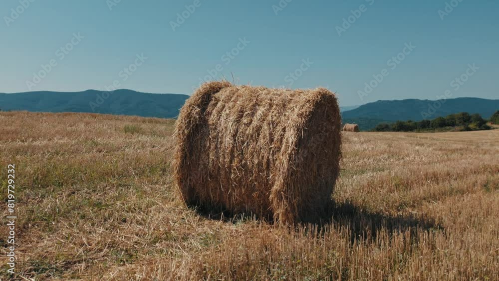 Agricultural land with hay bales and trees in the background with mountain under bright blue sky Agricultural land with hay bales and trees in the background with mountain under bright blue sky